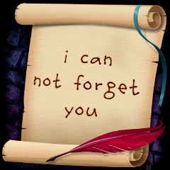 i can not forget you